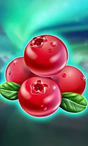 Winterberries